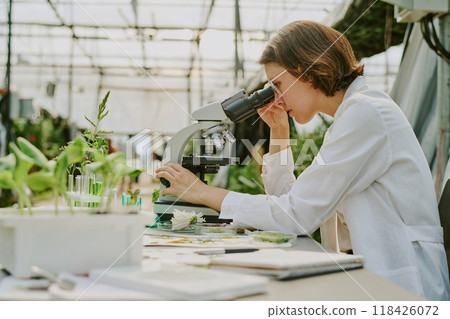 Researcher conducting observations of plant samples under microscope inside glasshouse maintaining focus and precision while documenting results and analyzing data with commitment 118426072