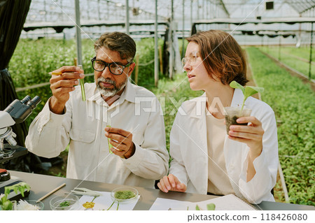 Two scientists, one wearing glasses, closely examining plant samples in laboratory. Various scientific instruments and notebooks are present 118426080