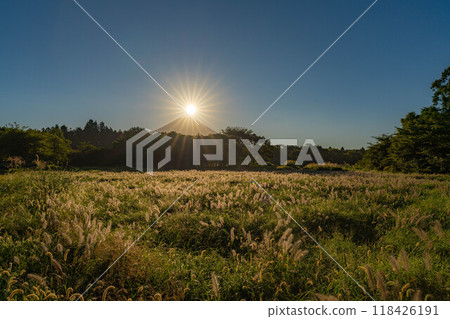 [鑽石富士]初秋從朝霧高原/井之頭地區看到的千柴和鑽石富士[靜岡縣] 118426191