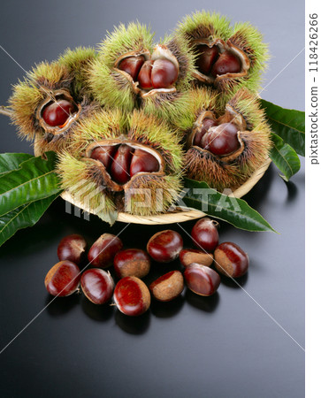 Harvested chestnuts 118426266
