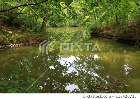 Onuma lake at Onuma Quasi-national park near the town of Nanae on the Oshima Peninsula in Hokkaido. 118426735