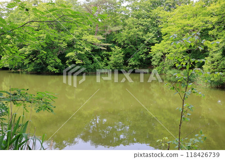Onuma lake at Onuma Quasi-national park near the town of Nanae on the Oshima Peninsula in Hokkaido. 118426739