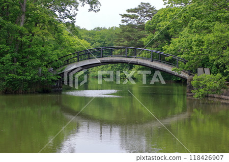 A bridge between islands on lake onuma in the onuma quasi-national park near nanae town on the oshima peninsula in southwestern hokkaido, Japan 118426907