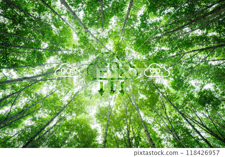 Natural carbon capture solution. Green trees in forest as carbon sink. Sustainable ecosystems. Climate change. Environmental sustainability. Carbon-neutral green forests. Natural carbon sequestration. 118426957
