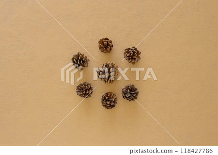 [Background material] Pine cones on a beige background 118427786