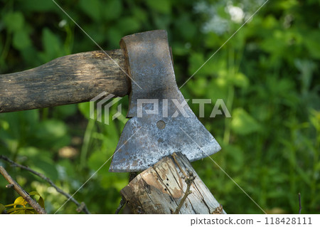 Close-up of an axe embedded in wood surrounded by green grass 118428111
