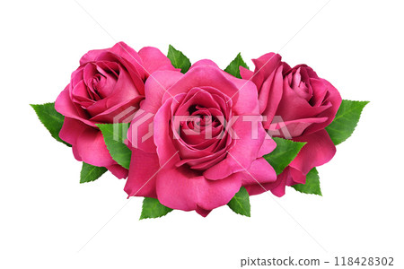 Red rose flowers and green leaves in a floral arrangement isolated on white 118428302