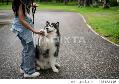 An Asian female dog owner training her dog while giving him a walk in a green public park, asking for handshake 118428356