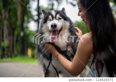 A beautiful Siberian husky dog playing with the owner in a park, spending time together outdoors. A beautiful Siberian husky dog playing with the owner in a park, spending time together outdoors. 118428371