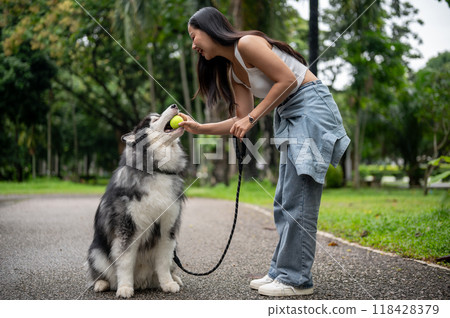 A happy Asian female dog owner is giving a tennis ball to her dog, training it to obey. 118428379