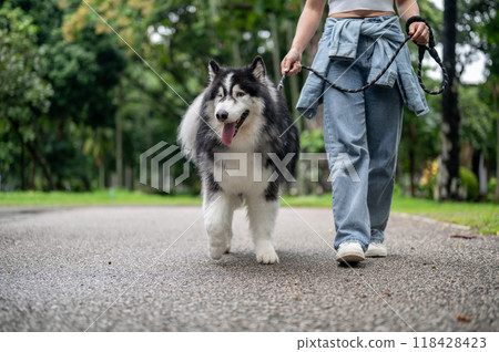 A woman is training her dog while walking it on a leash in a green park. 118428423