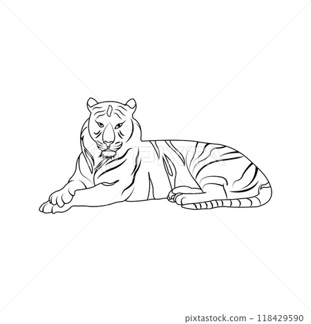 Tiger icon 118429590