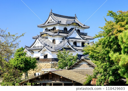 Hikone City, National Treasure Hikone Castle Keep 118429603