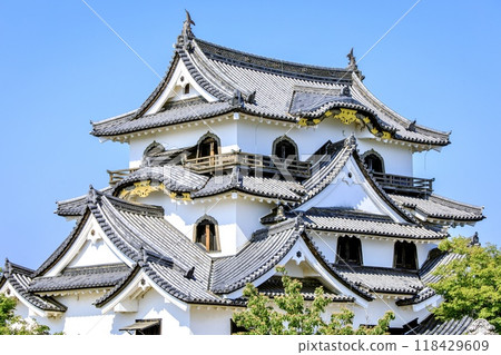 Hikone City, National Treasure Hikone Castle Keep Hikone City, National Treasure Hikone Castle Keep 118429609