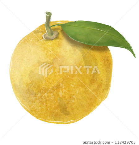 Yuzu illustration 118429703