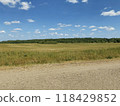 Gravel road in the foreground, grassy field in the middle, and a lush forest in the background under a clear blue sky. 118429852