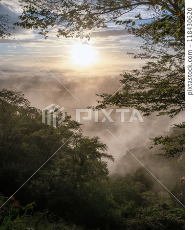 Kamakurayama - Morning sea of clouds 118430620