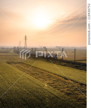 常磐線在秋日朝陽的映襯下運行 118430752