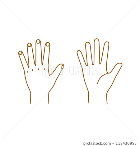Child's Hands: Palm and Back Hand Pose Set 118430953