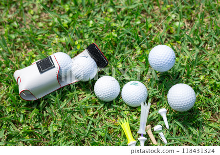 高爾夫球和草皮 118431324