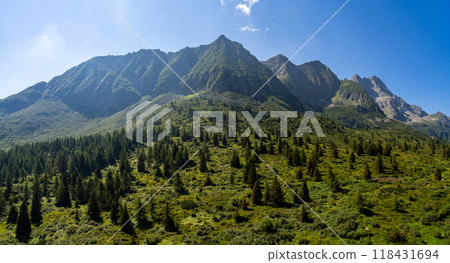 Majestic Mountain Range with Dense Pine Forest Majestic Mountain Range with Dense Pine Forest 118431694