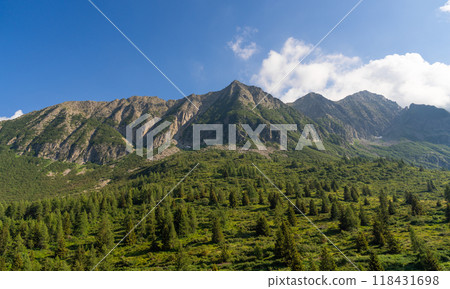 Verdant Alpine Landscape with Majestic Mountain Peaks 118431698