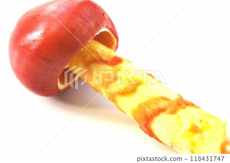 紅菇、幼蛋菇 紅菇、幼蛋菇 118431747