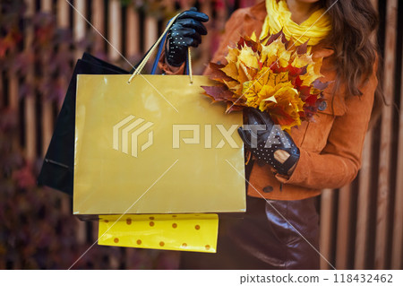 Closeup on stylish woman in brown trench coat 118432462