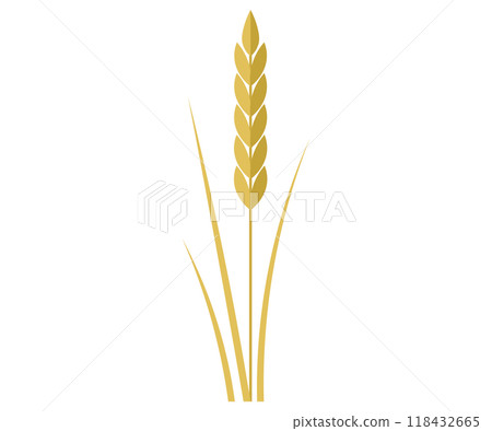 Spikelet of grain. Cereal wheat or rye. Ears of wheat. Cartoon golden branch with whole cereal corns and spikes on stalk, barley or oat in bunch, gold of organic harvest from farm field in autumn Spikelet of grain. Cereal wheat or rye. Ears of wheat. Cartoon golden branch with whole cereal corns and spikes on stalk, barley or oat in bunch, gold of organic harvest from farm field in autumn 118432665