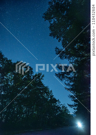 Summer starry sky and street lights seen from the larch forest road in the Yatsugatake Plateau 118432684