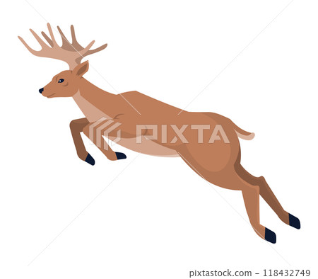 Running deer jump. Cute jumping fallow-deer with antlers, wild artiodactyl horned animal isolated on white. Happy new year decoration. Merry christmas holiday celebration. Hunting season and zoo Running deer jump. Cute jumping fallow-deer with antlers, wild artiodactyl horned animal isolated on white. Happy new year decoration. Merry christmas holiday celebration. Hunting season and zoo 118432749