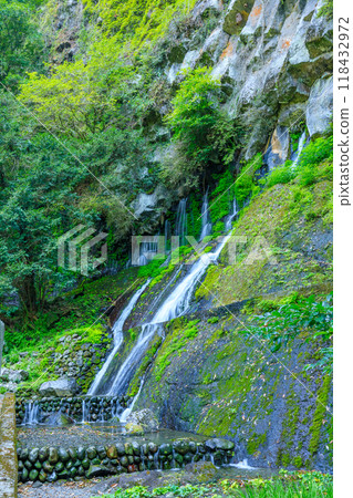 Takachiho Gorge in summer, Tamatare Falls, Takachiho Town, Miyazaki Prefecture Takachiho Gorge in summer, Tamatare Falls, Takachiho Town, Miyazaki Prefecture 118432972