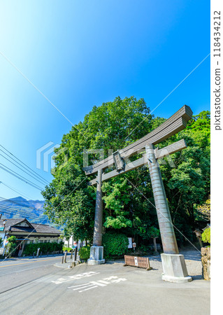 Takachiho Shrine in summer, Takachiho Town, Miyazaki Prefecture 118434212