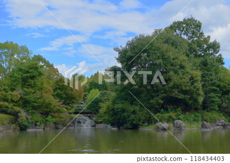 Park landscape Park landscape 118434403