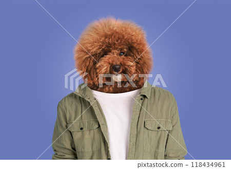 A fluffy brown dog with a voluminous coat is humorously superimposed on a human's body dressed in a casual green jacket and white shirt. The background features a solid pastel color A fluffy brown dog with a voluminous coat is humorously superimposed on a human's body dressed in a casual green jacket and white shirt. The background features a solid pastel color 118434961