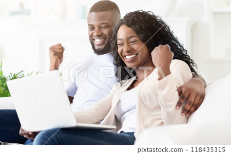 A couple sitting on a couch at home, looking at a laptop and celebrating good news with happy expressions and raised fists. 118435315