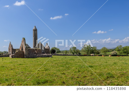 Kilmacduagh Abbey ruins with stone structures and cows nearby 118435898