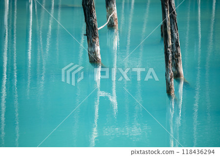 【美瑛町白金青池和水鏡】 【美瑛町白金青池和水鏡】 118436294