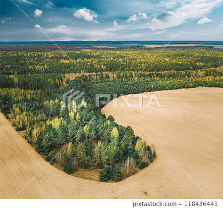 Aerial Top View Of Agricultural Landscape With Growing Forest Trees On Border With Field. Beautiful Rural Landscape In Bird's-eye View. Spring Field With Empty Soil Aerial Top View Of Agricultural Landscape With Growing Forest Trees On Border With Field. Beautiful Rural Landscape In Bird's-eye View. Spring Field With Empty Soil 118436441