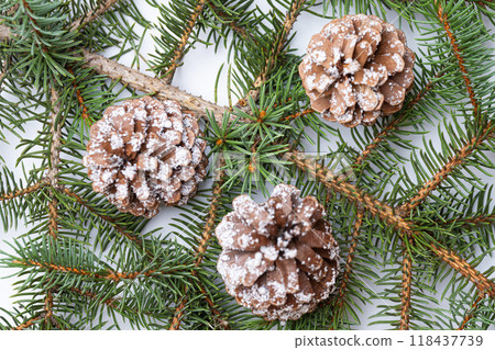 spruce branch on white background spruce branch on white background 118437739