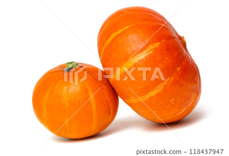 small pumpkin small pumpkin 118437947
