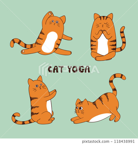 Cartoon funny yoga cat vector illustration. Animal fitness set for kids 118438991