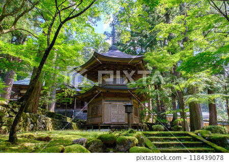 Soto Sect Sokonzen Eiheiji 118439078