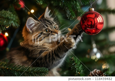 Adorable tabby kitten reaching for a shiny red Christmas ball ornament on a decorated tree, capturing a moment of holiday mischief and cuteness 118439482