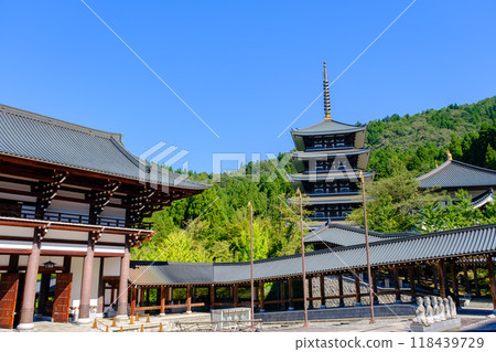 Daishi Mountain, Qingdao Temple, Echizen Buddha 118439729