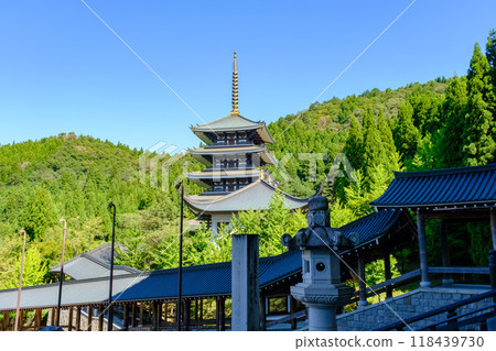 大師山、青大寺、越前大佛 118439730