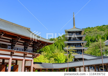 Daishi Mountain, Qingdao Temple, Echizen Buddha 118439732