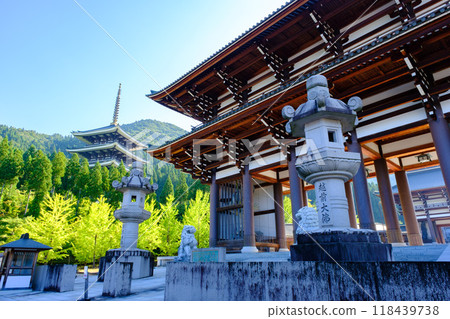 Daishi Mountain, Qingdao Temple, Echizen Buddha 118439738