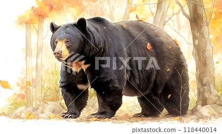 冬眠前肥熊的水彩插圖 118440014