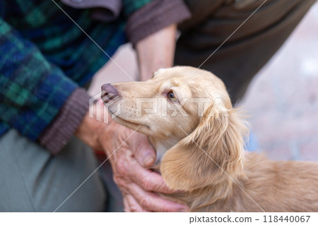 一個男人帶著他的狗在公園散步 118440067